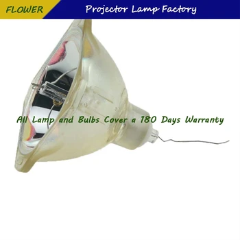 LMP-H160 Vysoko Kvalitné Náhradné Projektor Lampa Pre Sony VPK-AW10S / VPK-AW15S / VPK-AW15KT s 180 dní záruka